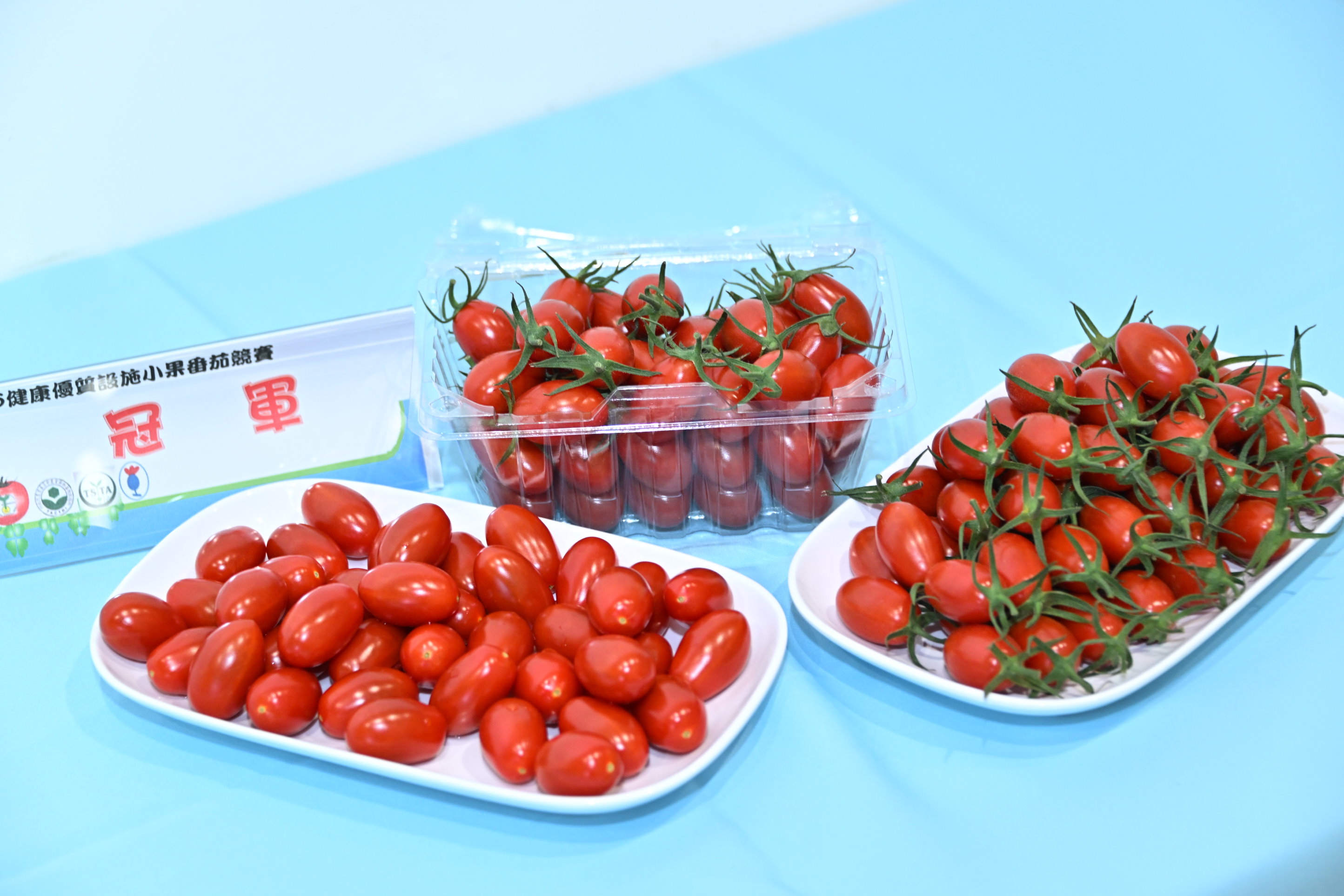 冠軍小果番茄果品