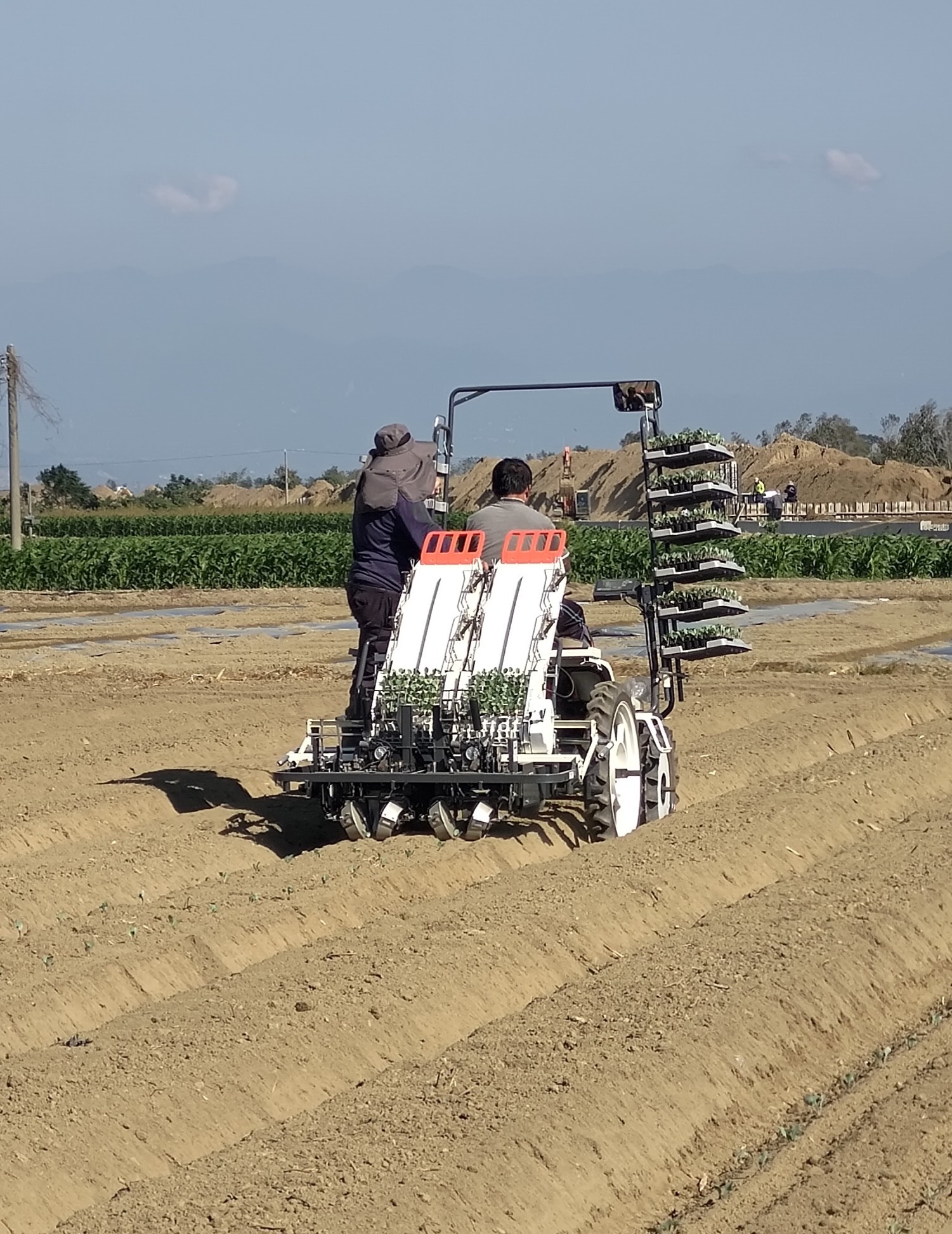 利用全自動蔬菜移植機進行移植，有效提升移植效率，降低人力需求