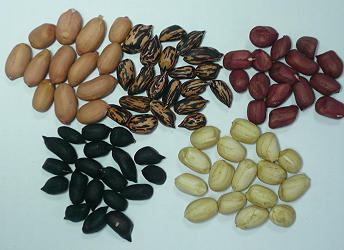 Peanut variety selection