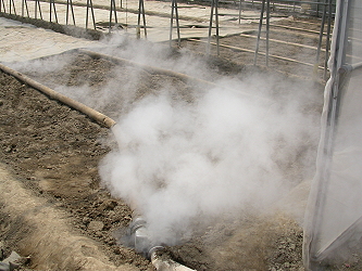 Soil steaming to control soil-borne diseases and pests