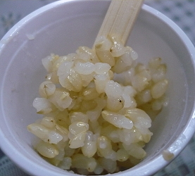 Rice Tainan # 14 can be served as brown rice without presoaking 