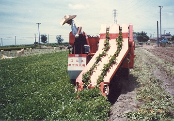 Peanut combine 