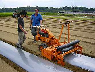 Cultivator-type mulching machine 