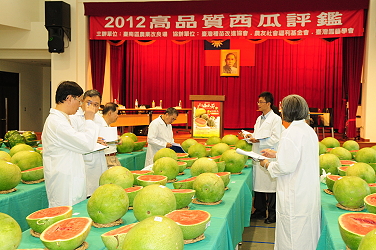 High quality watermelon competition 