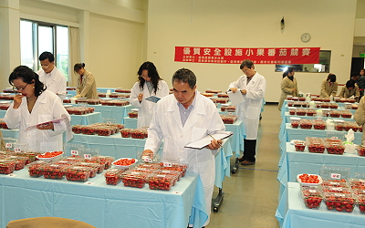 Cherry tomato competition 